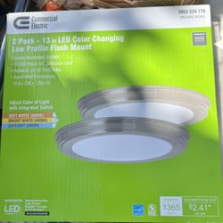 Commercial Electric Color Changing LED Lights