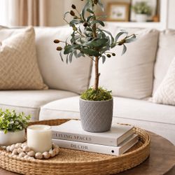 Small Olive Tree Decor – Perfect for Kitchen or Living Room 🌿 - Kendall Area