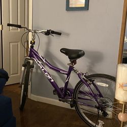 Bike Was  $80 Asking For $60