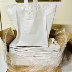 Plastic Takeout Bags 250 Ct 