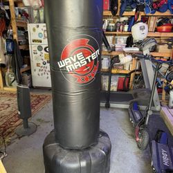 WaveMaster Century Punching Bag