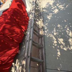 32 Foot Werner Ladder 