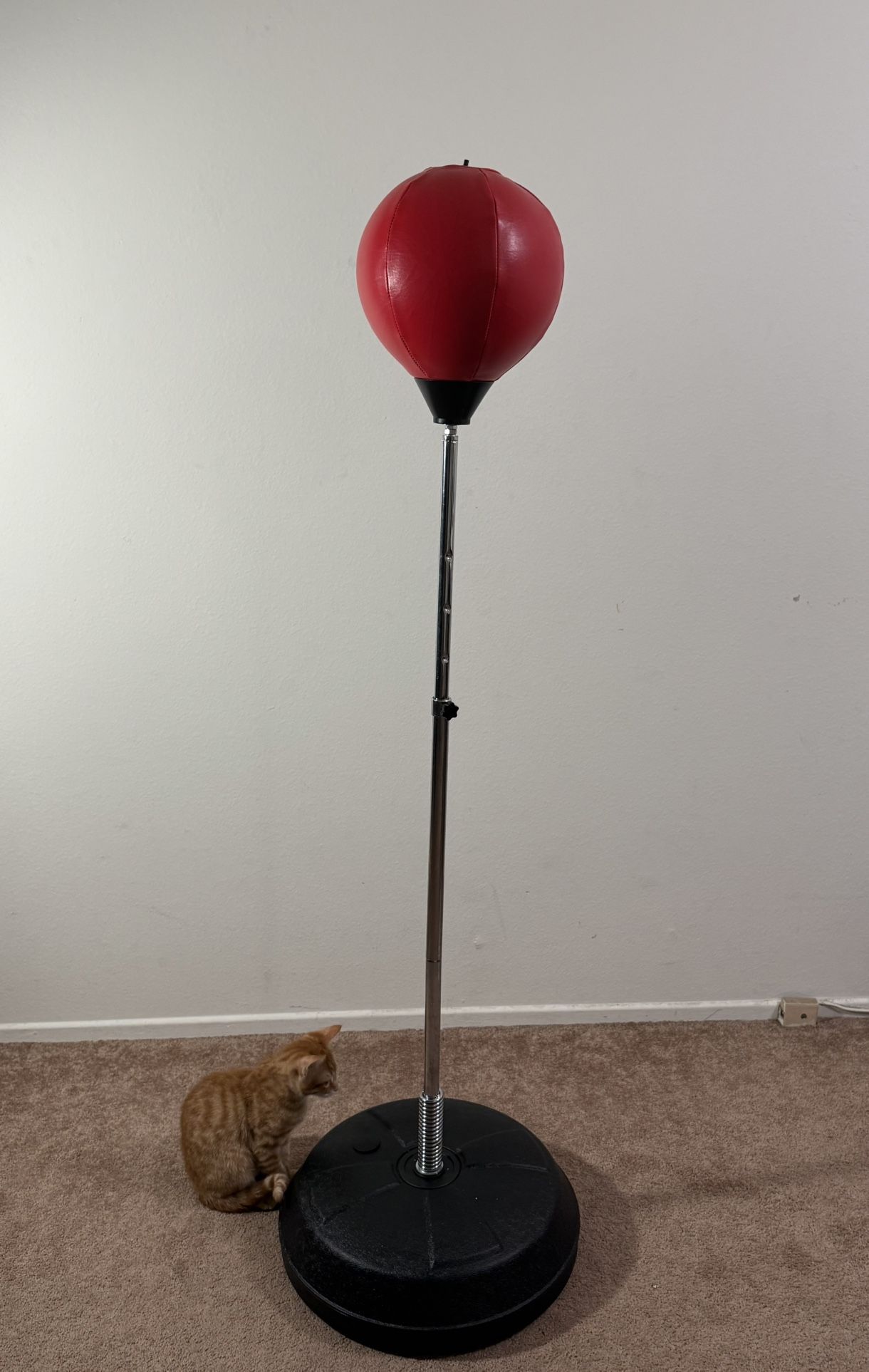 Punching Bag
