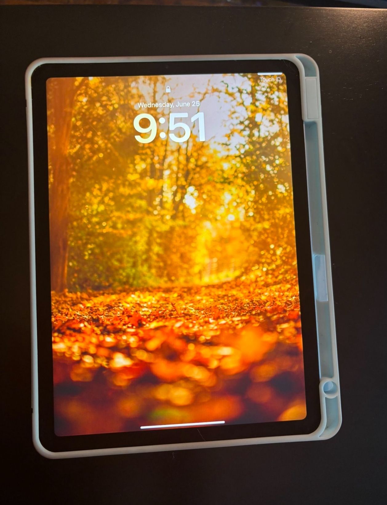 iPad Air 4th Generation