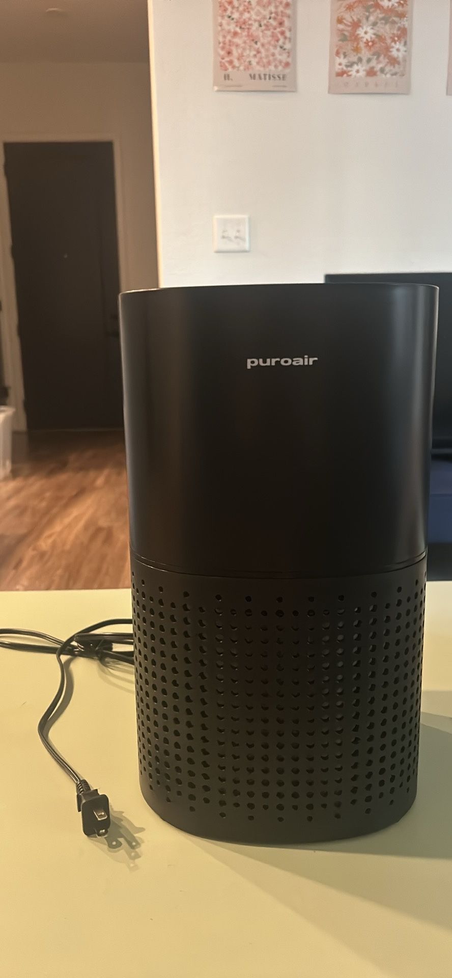 Puroair Air Filter