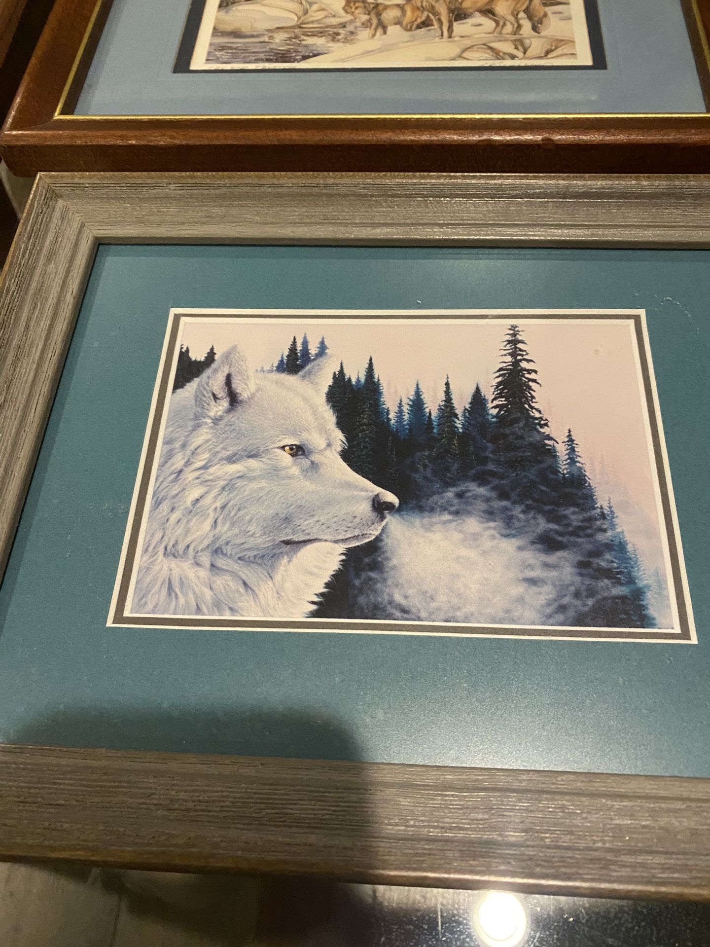 Collection Of 3 Picture Frames Art Wild Life,wolves $5 Each