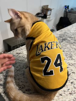 Cat clothing