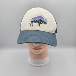 Patagonia Fitz Roy Bison Trucker Adjustable SnapbackHat