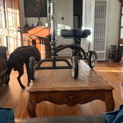 knee scooter double seat double brake s