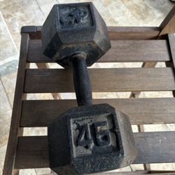45 Pound Dumbbell 