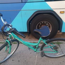 Nishiki Tamarack and an Avalon 