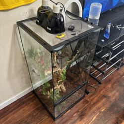 18x18x36 Complete Chameleon Paludarium 