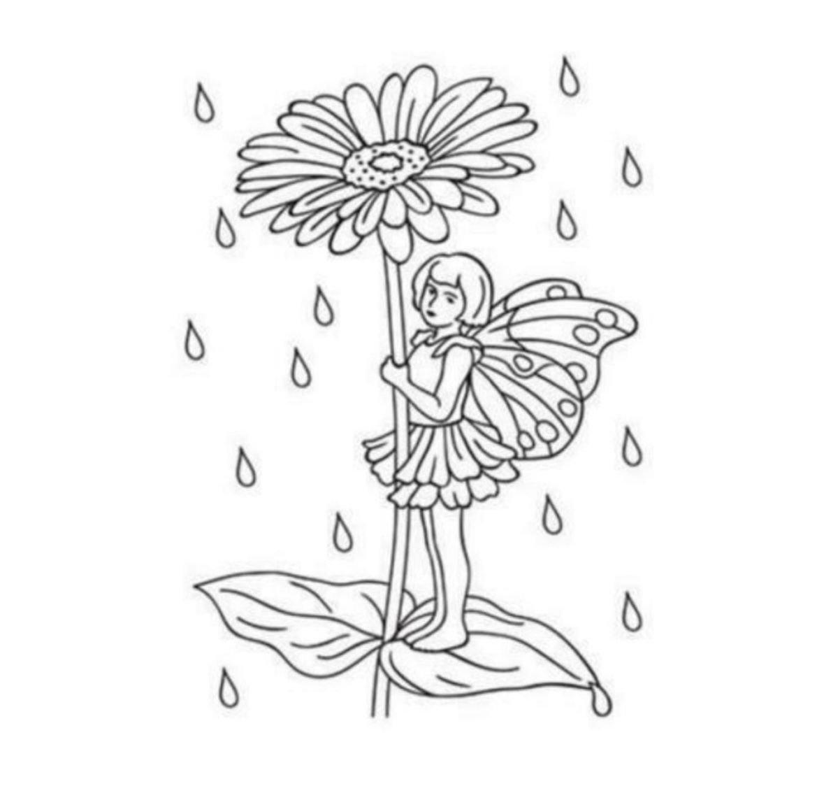 Darice Embossing Folder Fairy Garden