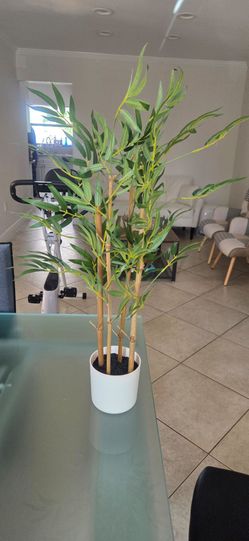 Nearly Natural 30-Inch Artificial Bamboo Tree - Indoor Fake Tree for Home Decor - No Maintenance