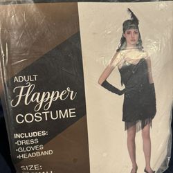 Adult Flapper Costume
