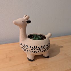 Giraffe Planter with Succulent