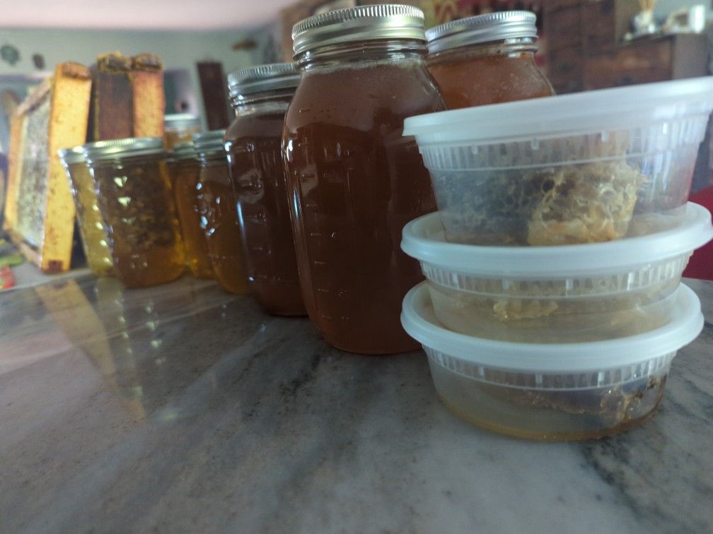 Fresh Raw Unfiltered Honey & Honey Comb