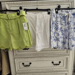 FASHIONABLE CHORTS SIZES 8 NEW $15 TOMMY INC LEVIS 