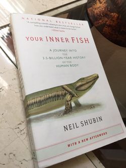 Your INNER FISH