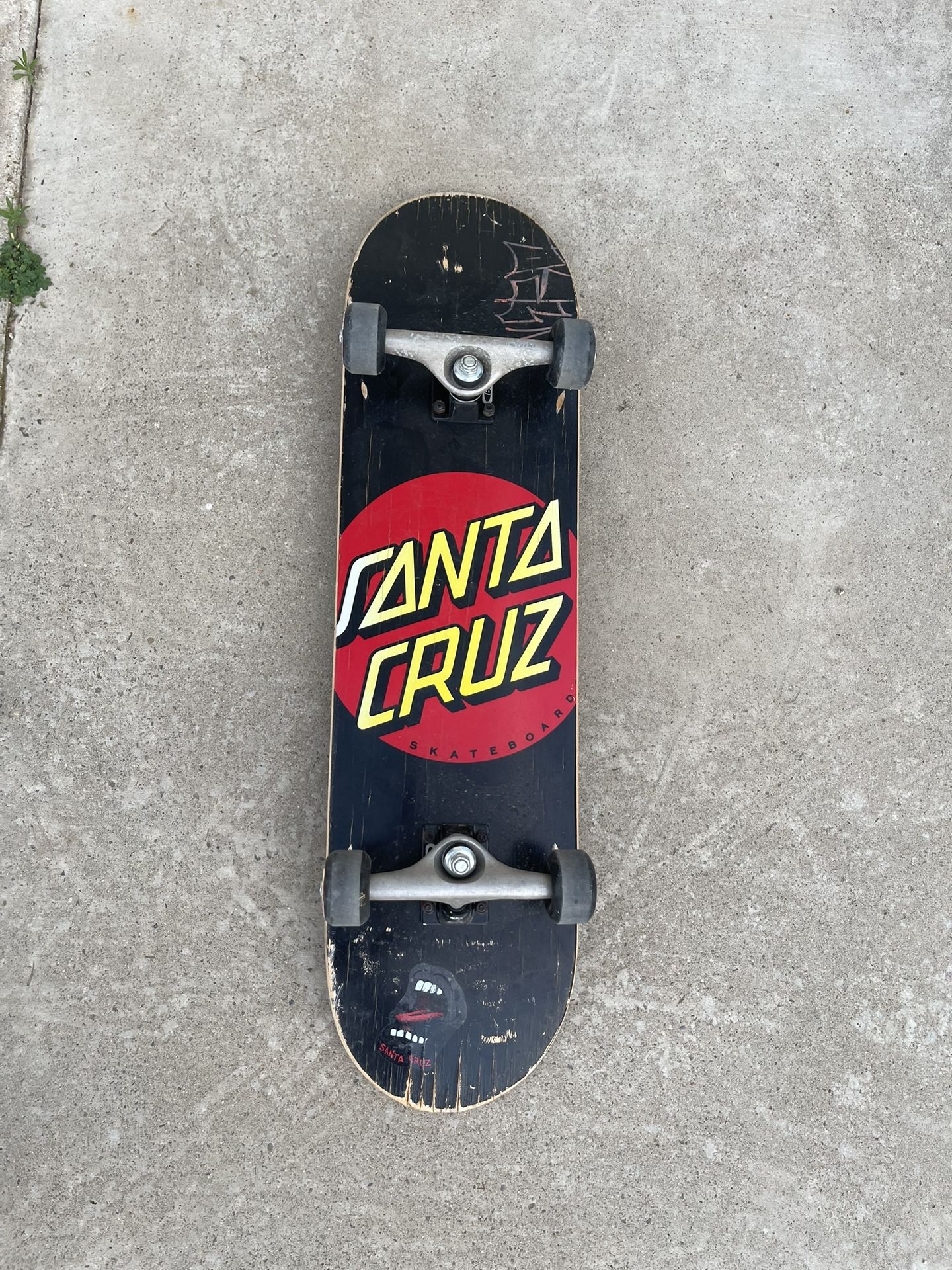 Santa Cruz Skateboard 