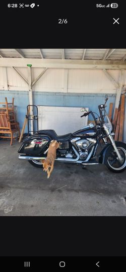 Dyna switchback fld