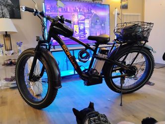 FAT TIRE E-BIKE