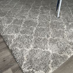 Extra Large 14×10 Plush Shag Area Rug – Gray & Ivory – Clean