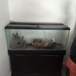 Fish Tank 