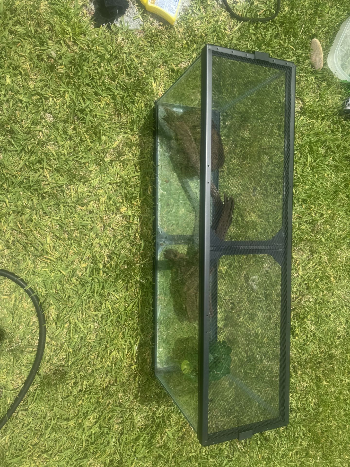 Large Terrarium For Reptiles