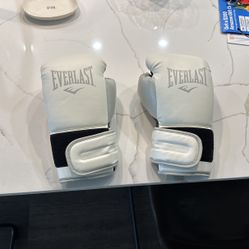 Everlast Boxing Gloves