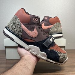 Nike SB Trainer 1