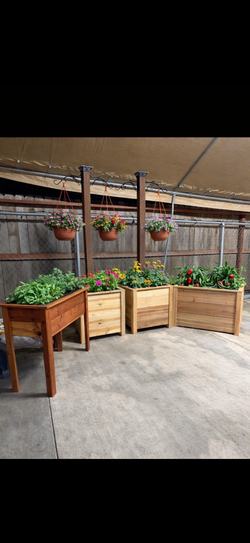 Wood planters