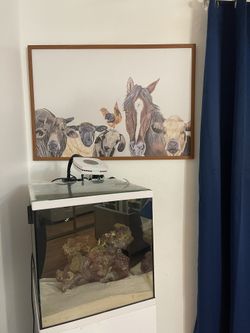 Farm Animal Frame