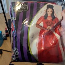 Lydia Halloween Costume Beetlejuice Used Once Moving Sale All Must Go!