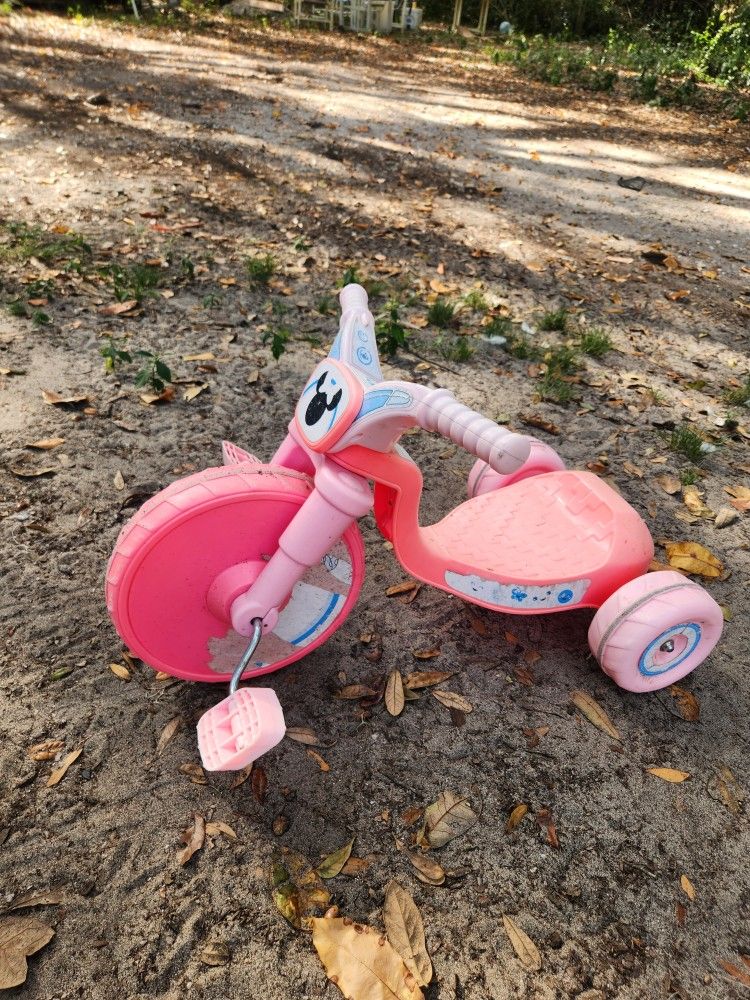 Toddler Bike