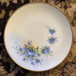 J & C Bavaria Handpainted Porcelain Plate
