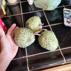 Cherimoya