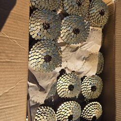 Roofing Nails