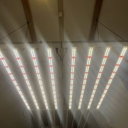 Ion LED Grow Lights