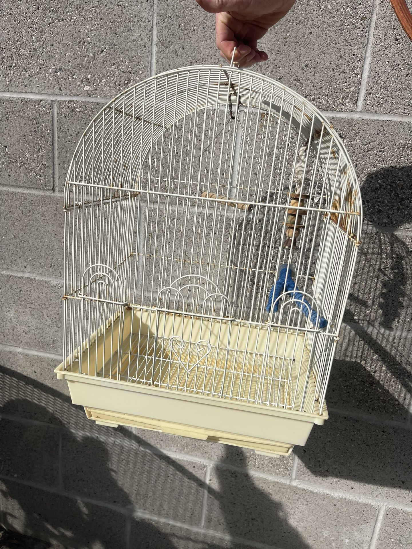 Bird Cage