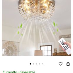 Ceiling Fan With Light