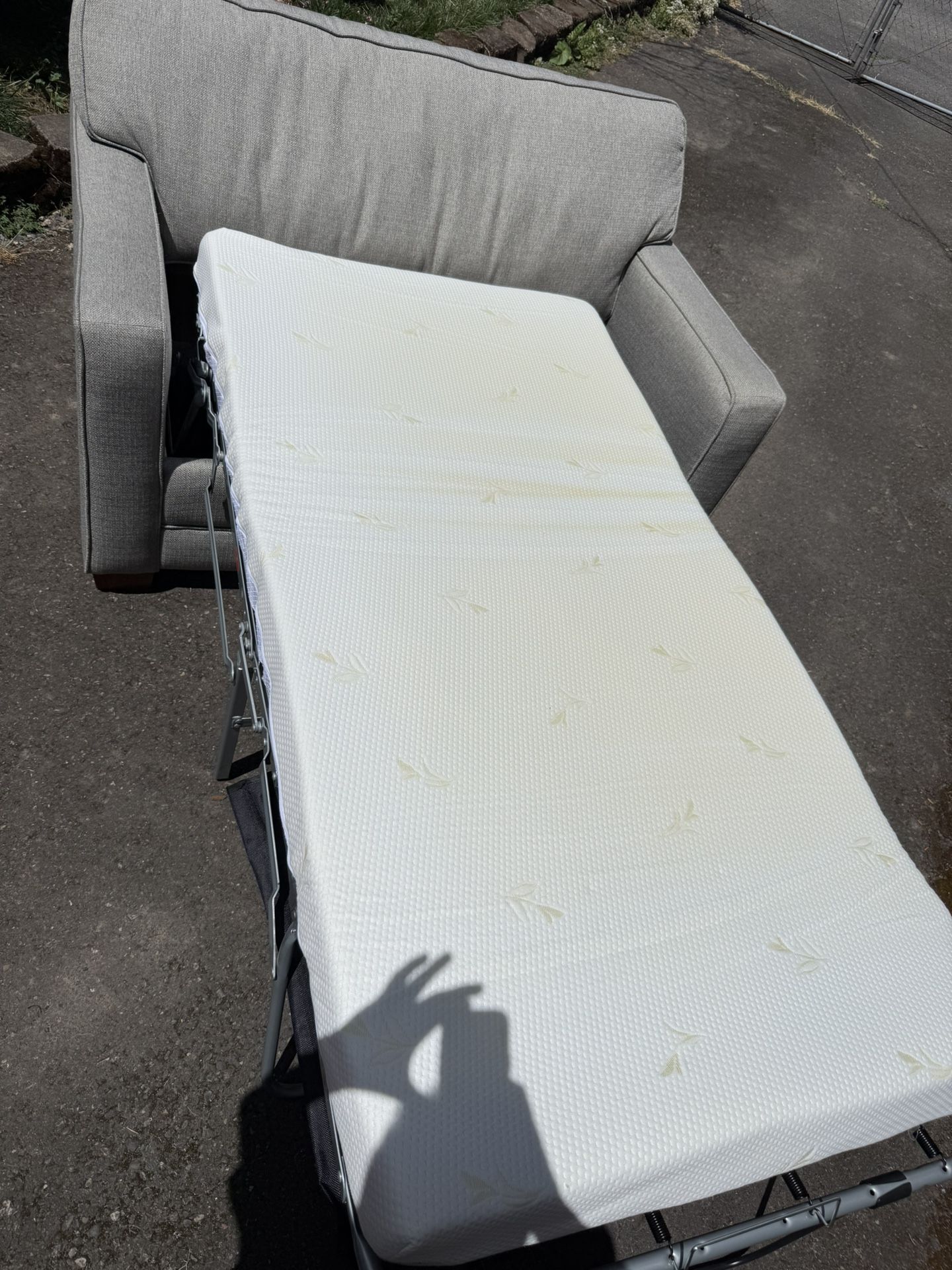 Nice Costco Pull Out Hide A Bed Couch Loveseat Can Deliver