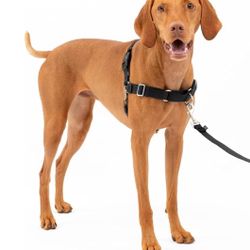 PetSafe Easy Walk Harness for Dogs  Size Med 25-50lbs - Used 1 time, still in box Pull-Free Walks - Patented Martingale Loop Design - Front Chest Leas
