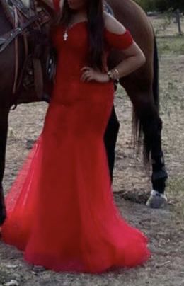 Prom / Gala Red Dress 