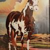 Jesse James 