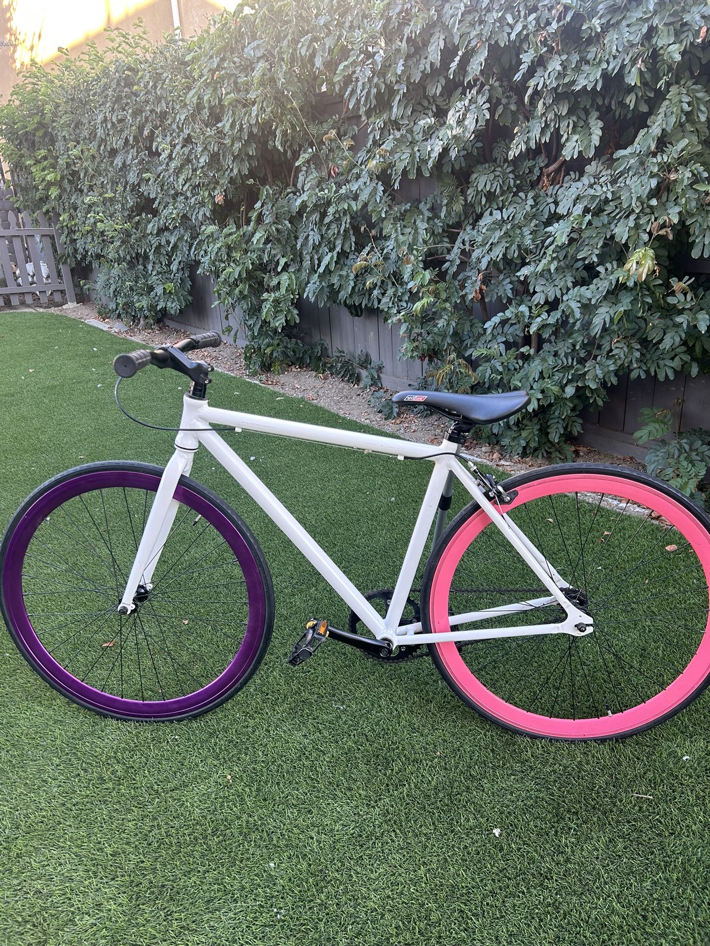 Fixie Bike