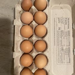 Fresh Organic Eggs 