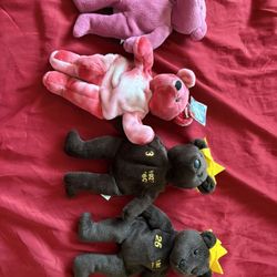 Salvino’s Bamm beano’s Bears 