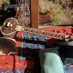 Beautiful Sitar