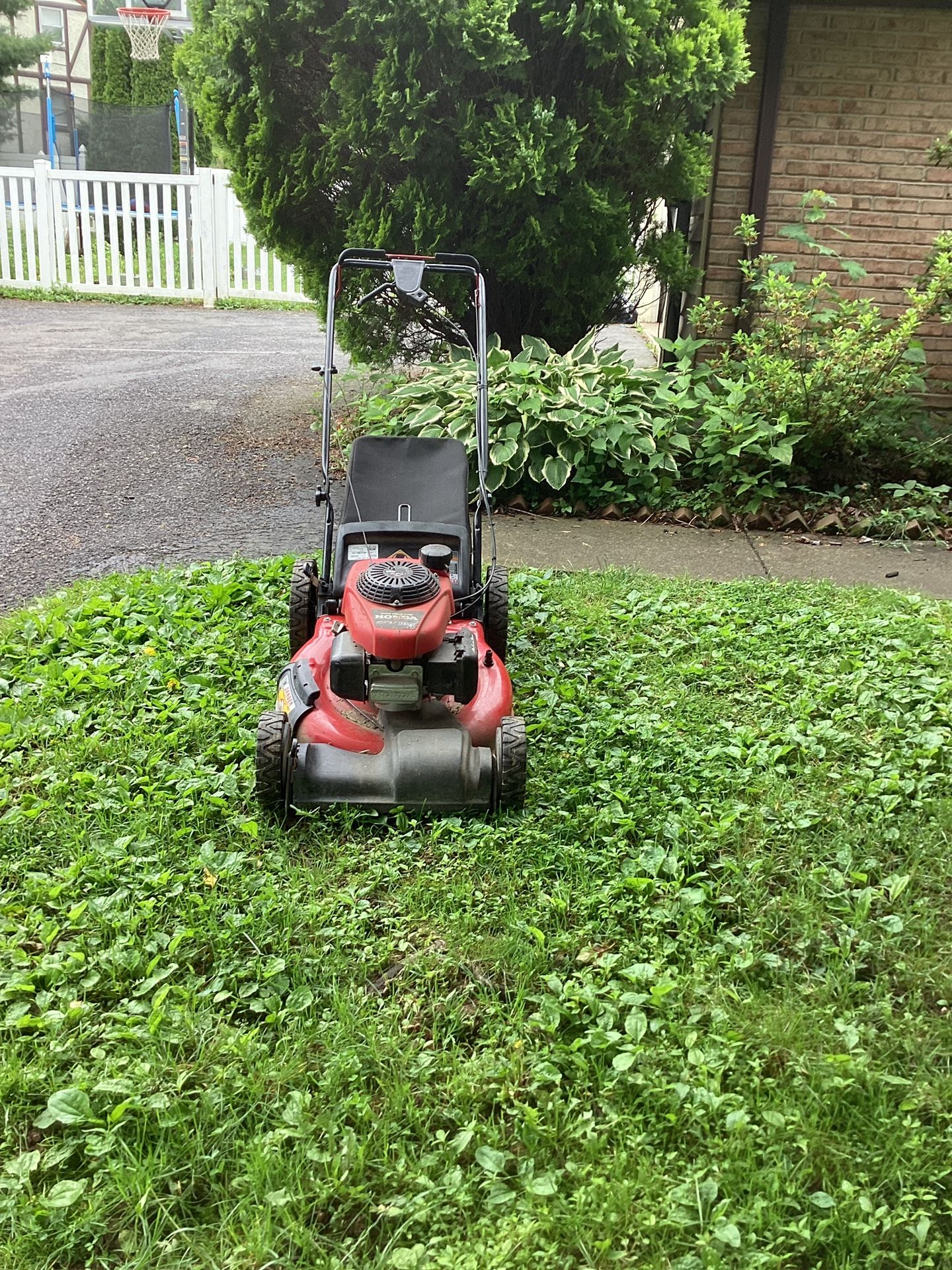 Honda Push Mower